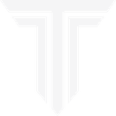 Tempo logo